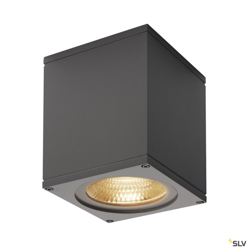 Appliques et plafonniers BIG THEO applique extérieure LED 21W 3000K - SLV