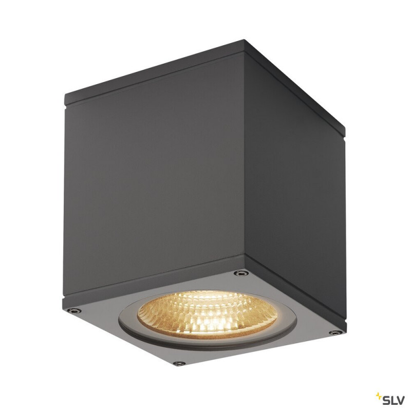 Appliques et plafonniers BIG THEO plafonnier extérieur LED 21W 3000K - SLV