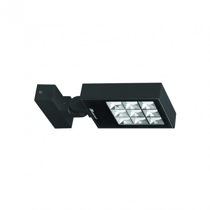 Projecteurs Projecteur extérieur avec diffuseur en verre sérigraphié noir 3000K - RAYPRO 32 - INDIGO