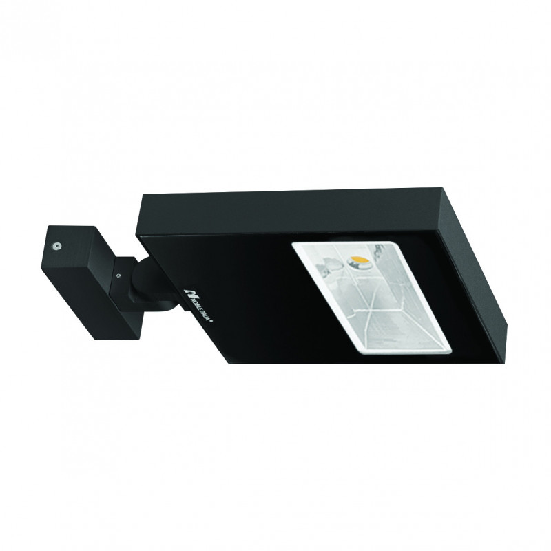 Projecteurs Projecteur extérieur avec diffuseur en verre sérigraphié noir et faisceau asymétrique 3000K - RAYPRO 50 A - INDIGO