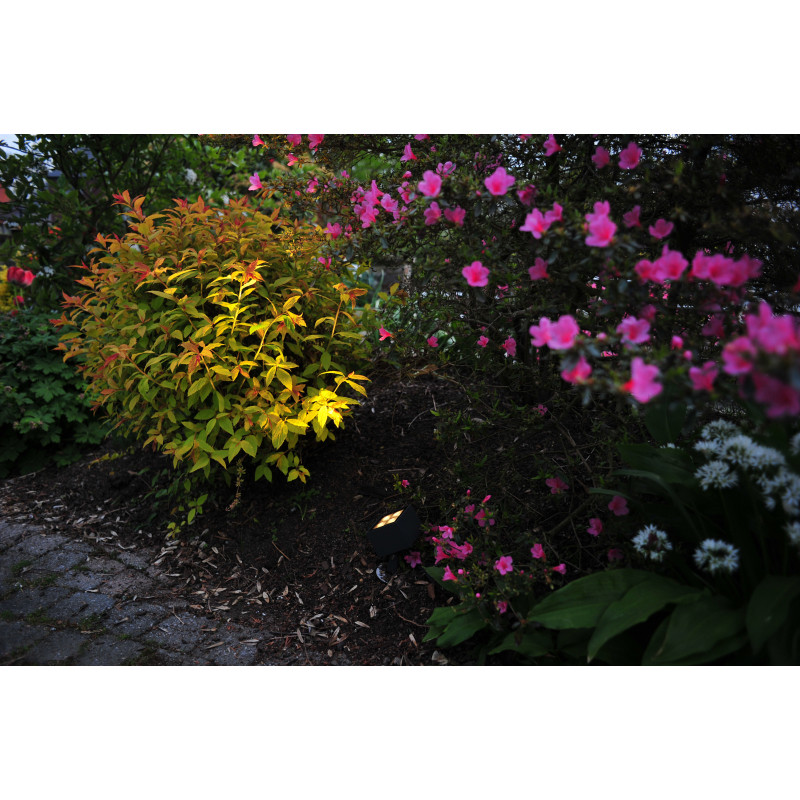 Spots et encastrés Spot d'accentuation extérieur avec piquet à enterrer 3000K Anthracite - RIESA - INDIGO