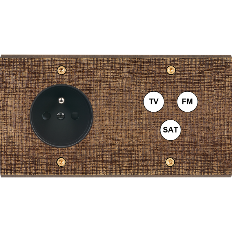 Plaques et façades Façade de finition Fascination à vis Laiton double 2P+T + C3 - MODELEC