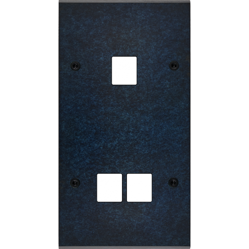 Plaques et façades Façade de finition Fascination à vis Laiton double M1-M2 - MODELEC