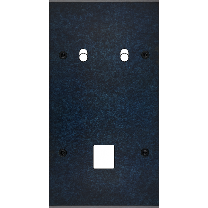 Plaques et façades Façade de finition Fascination à vis Laiton double B2 M1 - MODELEC