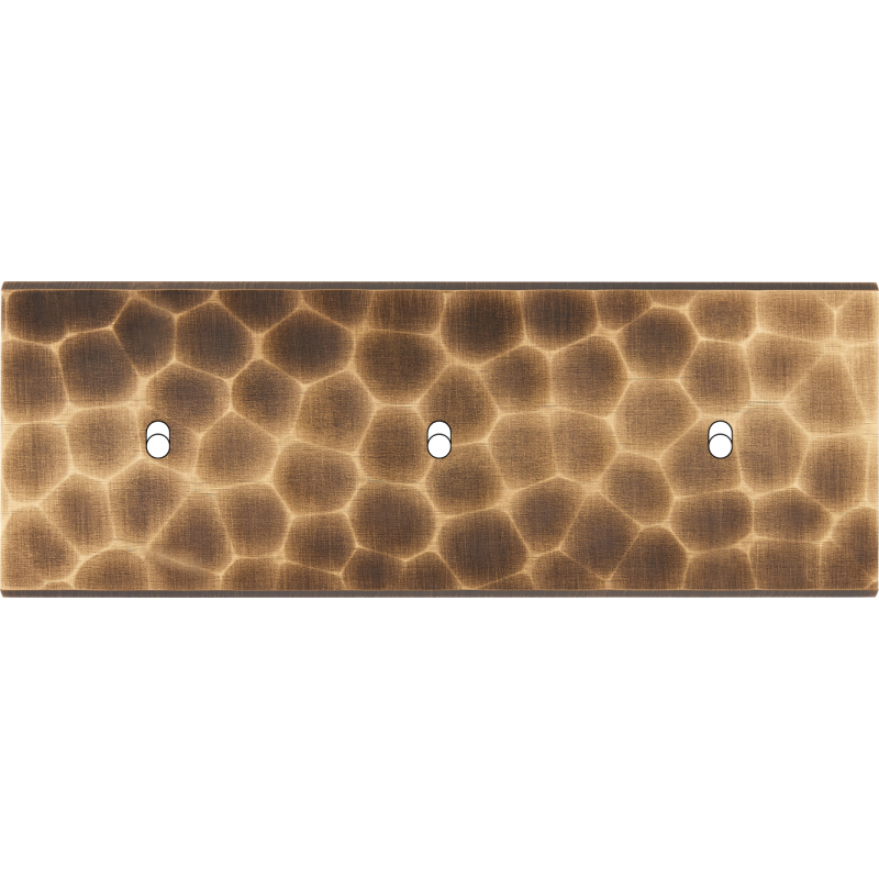 Plaques et façades Façade de finition Fascination magnétique Laiton Triple Va et vient - MODELEC