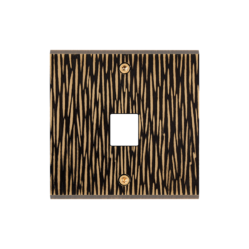 Plaques et façades Façade de finition Fascination Laiton à vis simple M1-M2 - MODELEC