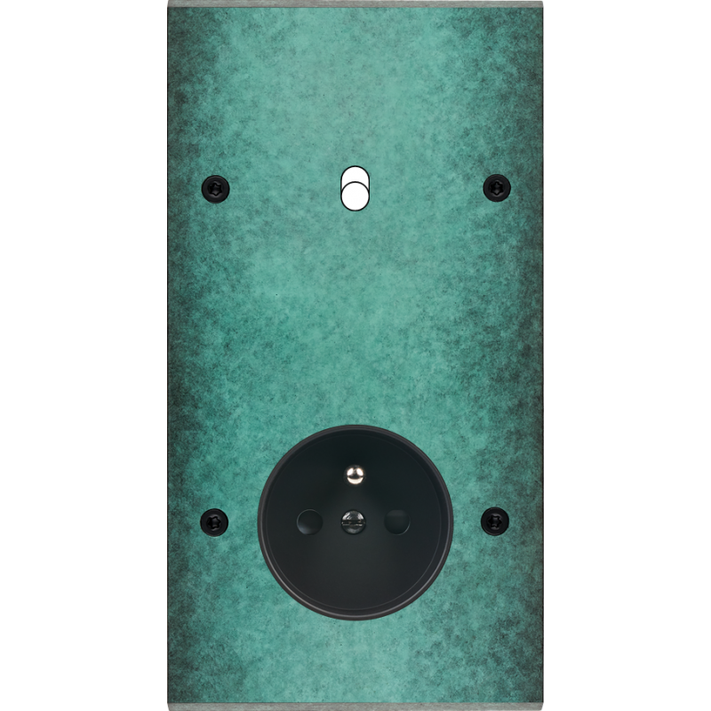 Plaques et façades Façade de finition Fascination à vis Laiton double bouton + 2P+T - MODELEC