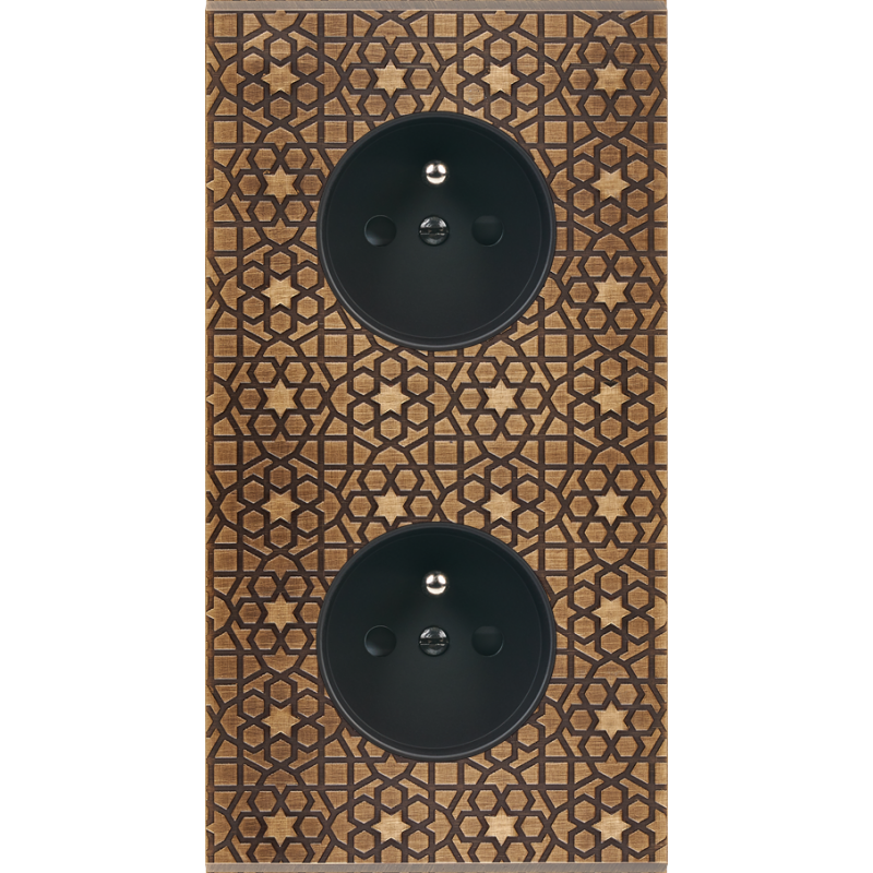 Plaques et façades Façade de finition Fascination magnétique Laiton 2P+T - MODELEC