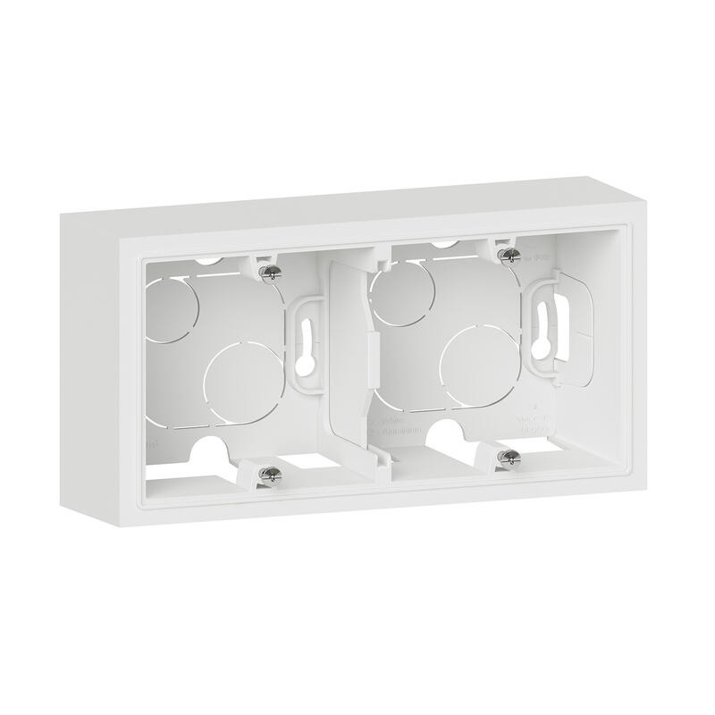 Cadres Dooxie Cadre saillie 2 postes finition blanc - LEGRAND