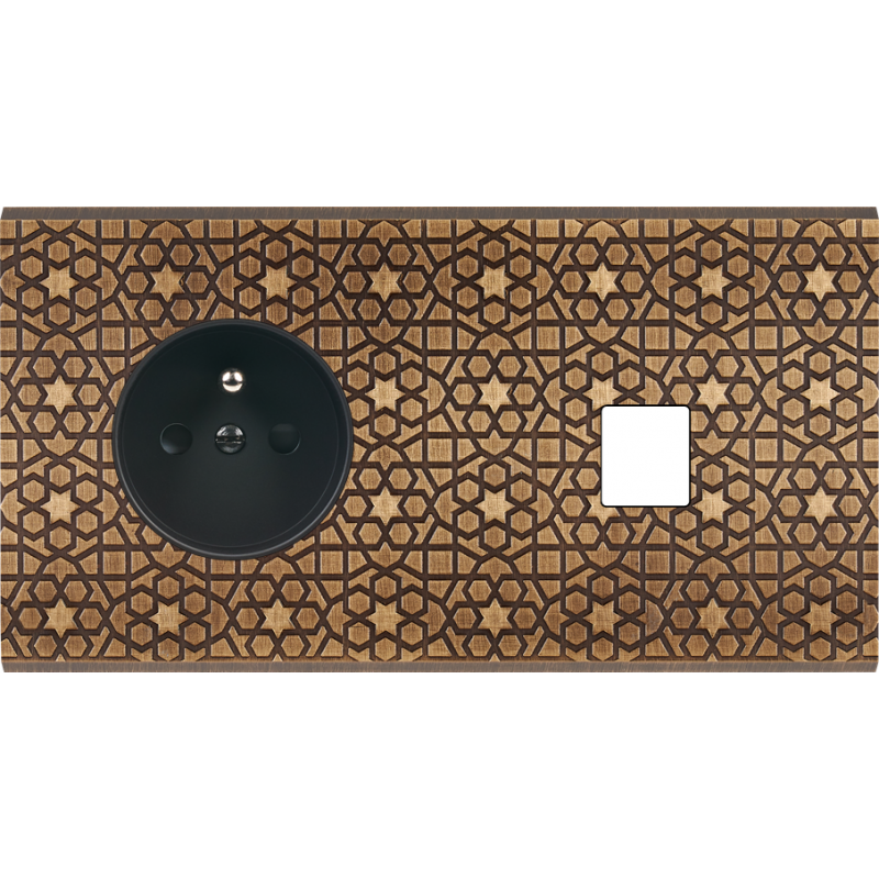 Plaques et façades Façade de finition Fascination magnétique Laiton double 2P+T M1/M2 - MODELEC Plaques et façades Façade de finition Fascination magnétique Laiton double 2P+T M1/M2 - MODELEC