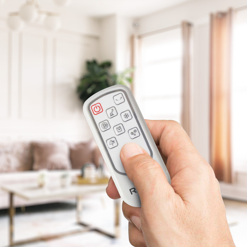 Climatiseurs mobiles IPANEMA - Rafraîchisseur d'air par évaporation 30L - ROINTE