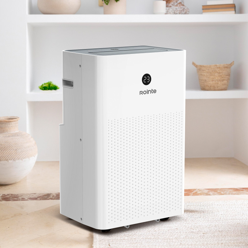 Climatiseurs mobiles FIORE 3000 - Climatiseur mobile froid seul - ROINTE