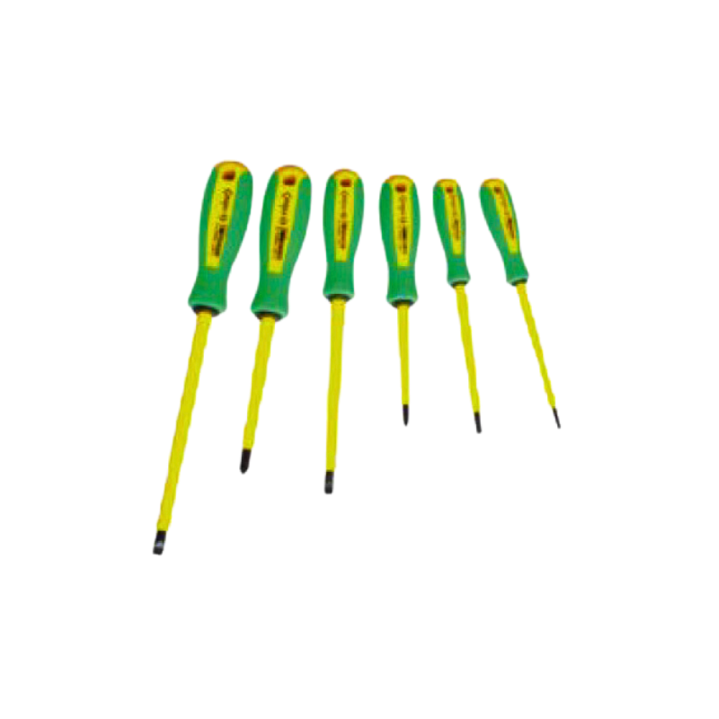Tournevis 740EV Coffret 6 tournevis - AGI ROBUR
